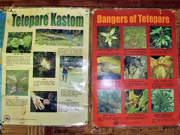 Educational posters in English and Pidgin, Tetepare Island (photo courtesy MECDM)